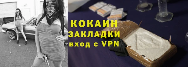 дживик Белокуриха