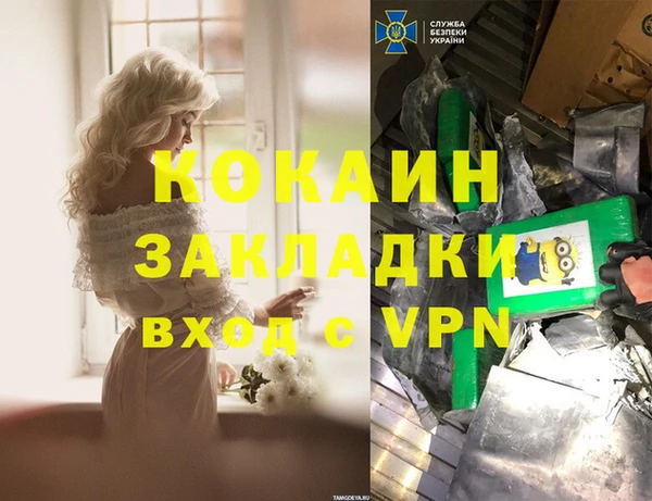 дживик Белокуриха