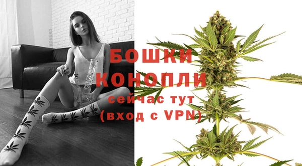 дживик Белокуриха