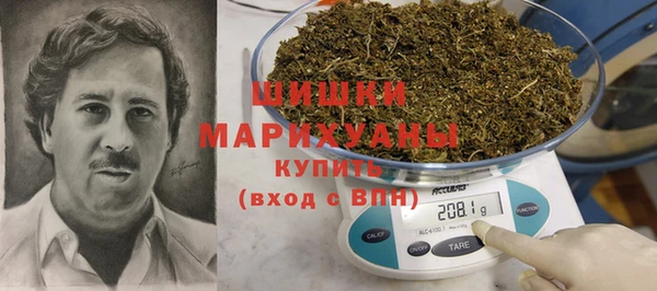дживик Белокуриха