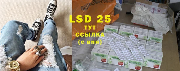 дживик Белокуриха